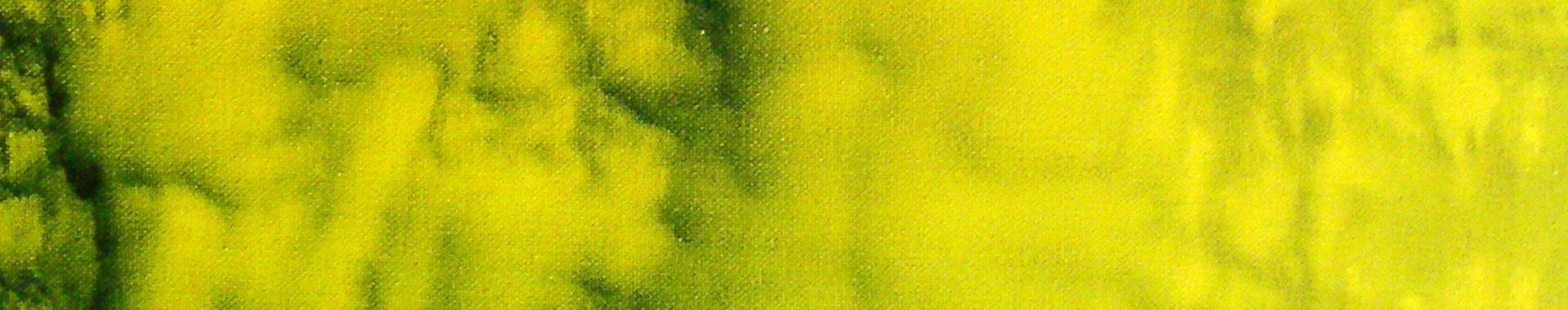 Imagen de portada