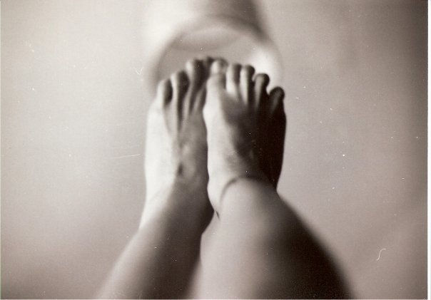 Pies 