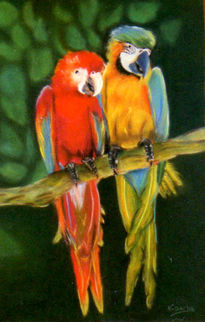 Loros