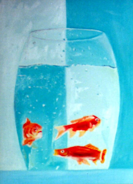 Peces