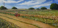 Paisaje rural