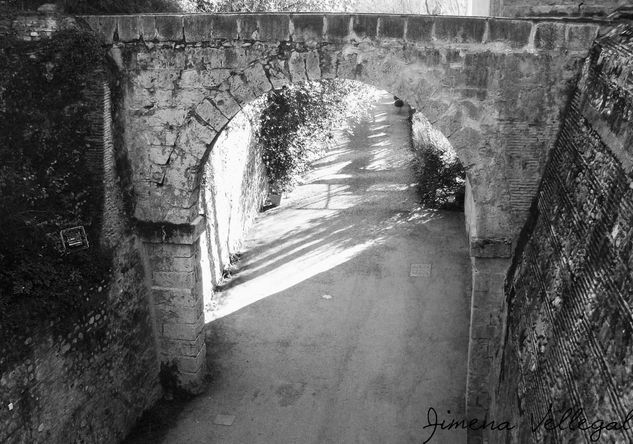 " Puente" Travel Black and White (Digital)