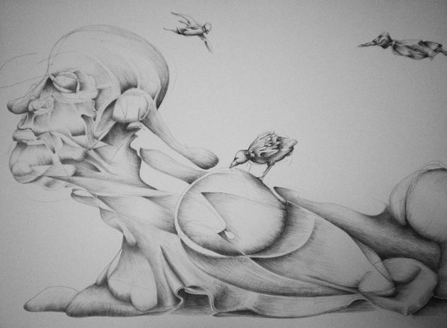 \ SIMBIOSIS