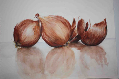 Cebollas