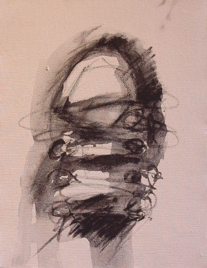 s/t serie el discurso