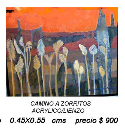 Camino a zorritos