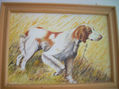 perro cazando