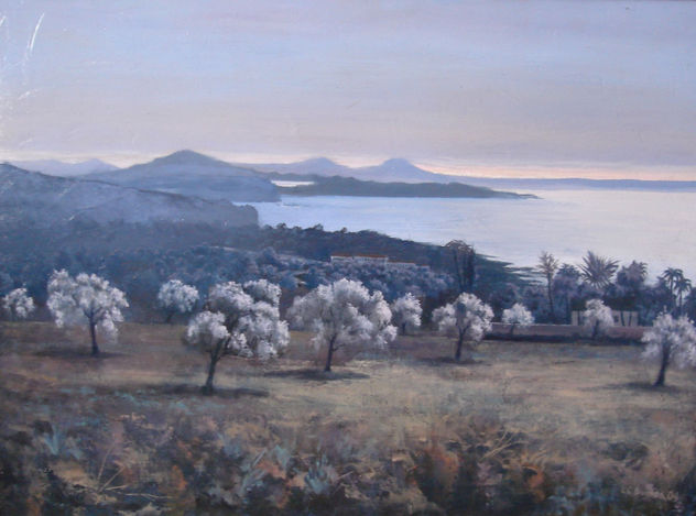 almendros cerca de Santa Eulalia - Ibiza