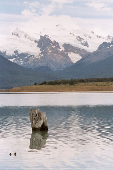 CENTINELA Naturaleza Color (Química)