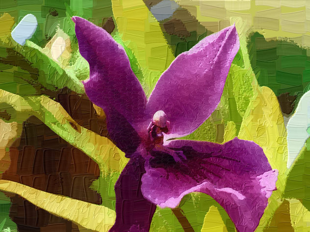 ORQUIDEA