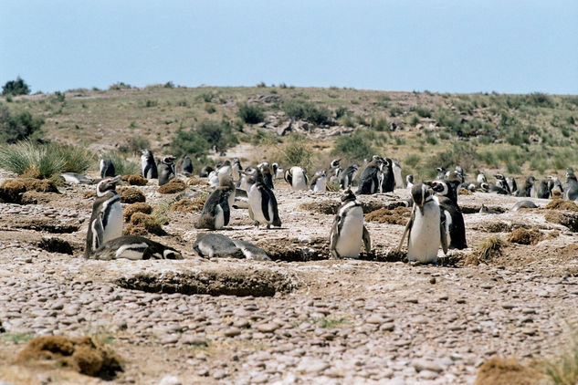 EN FAMILIA Naturaleza Color (Química)