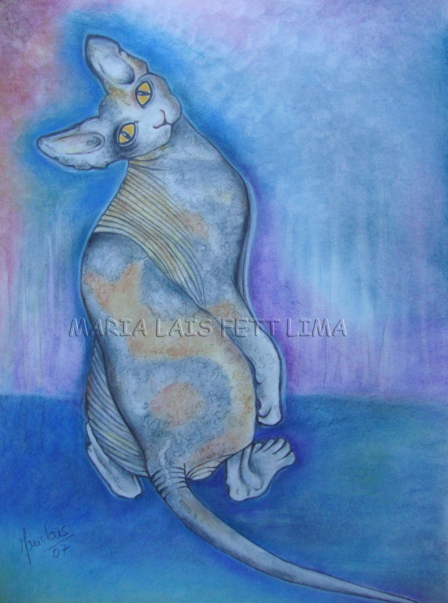 GATO