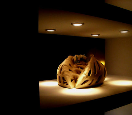 Organic-dark vision 3