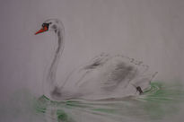 Cisne