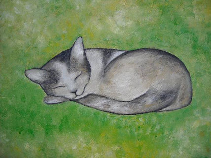 Gata durmiendo