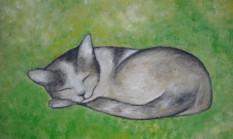 misgatos