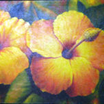 FLORES thumbnail 2