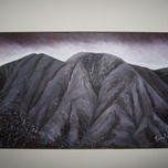 Coleccion 2009 thumbnail 2