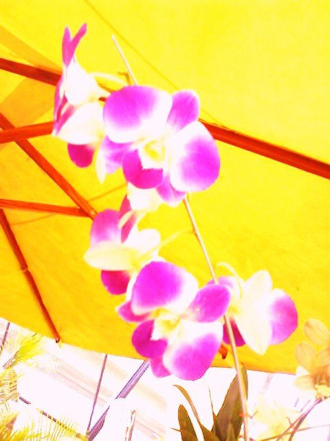 una  flor