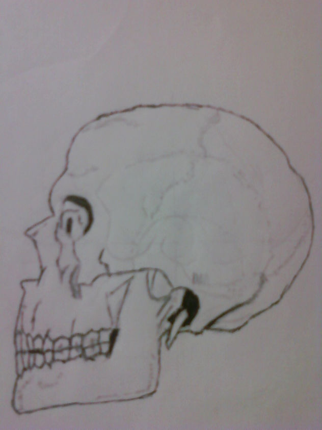 craneo