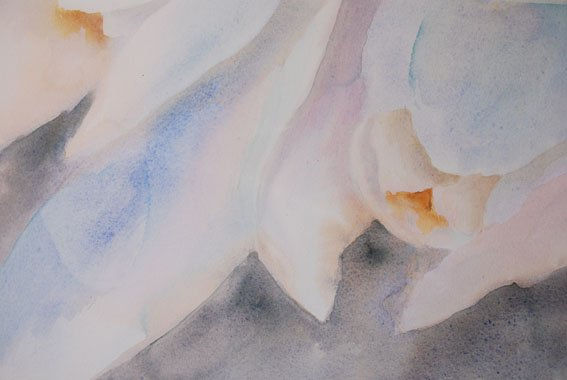 Magnolia. Detalle Watercolour Paper Floral Painting