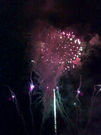 Flor de focs