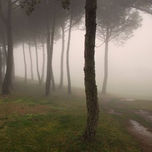 fotografia thumbnail 1
