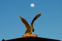 La luna y el condor.