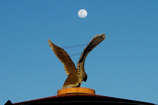 LA LUNA Y EL CONDOR. 