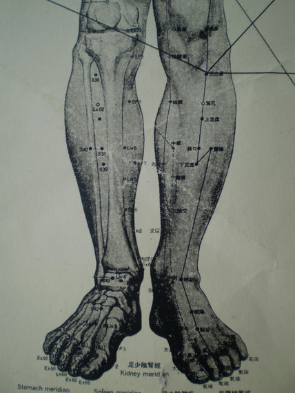Meridianos iv