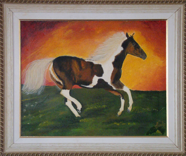 Caballito Moro Oil Canvas Animals