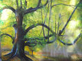 Bosque otoñal.