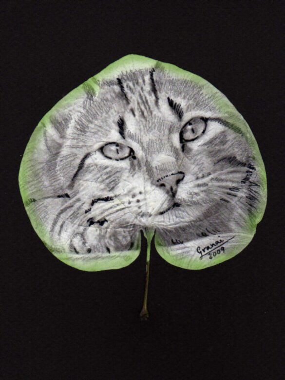 HOJA NATURAL CON GATO
