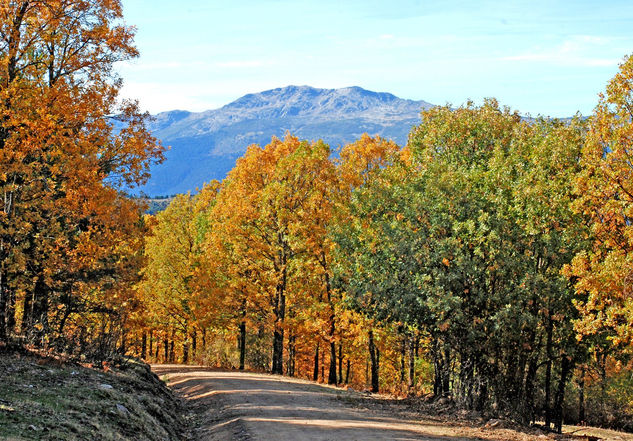 Otoño 