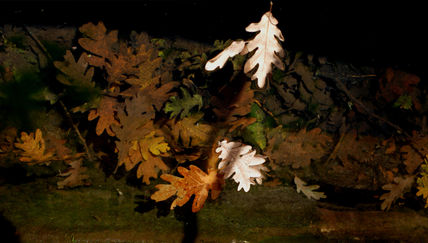 Otoño
