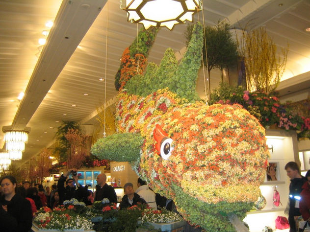 disenador de arreglos florales..