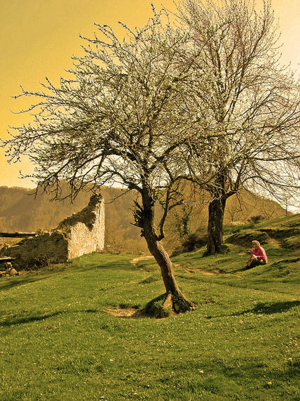 Descanso (Serie...