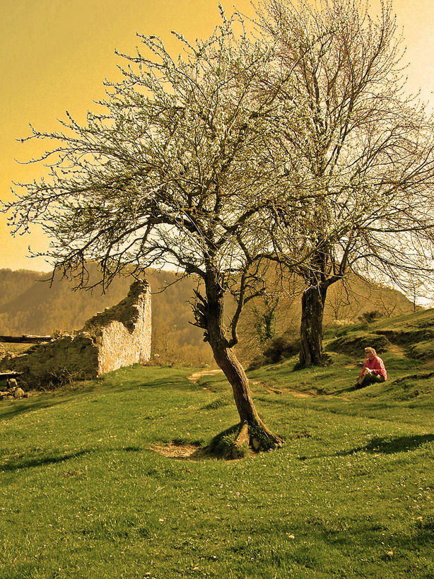 Descanso (Serie Creu de Rabadà)