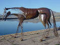 caballo