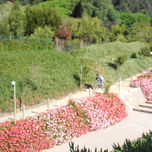 fotografia thumbnail 1