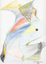 golondrina
