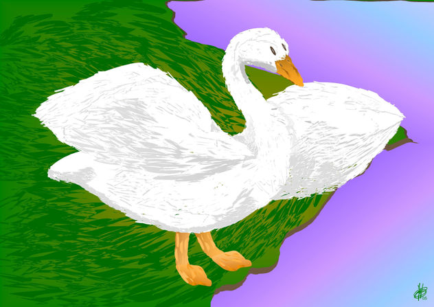 CISNE