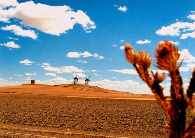 La Mancha Photojournalism and Documentary Color (Manual)