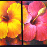 FLORES thumbnail 1