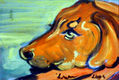Miperro