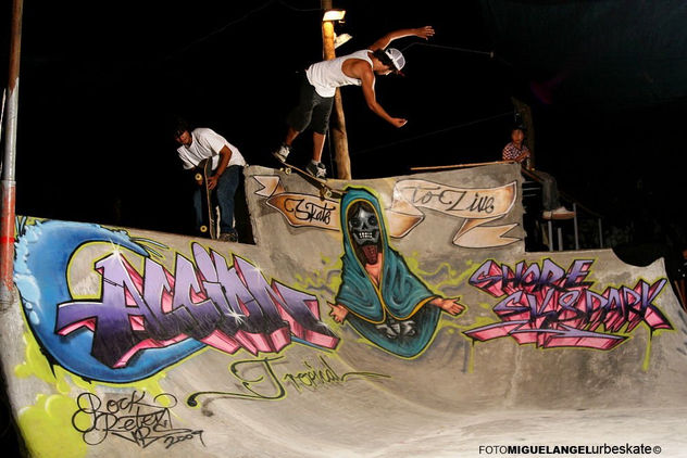 skate park punta de mita