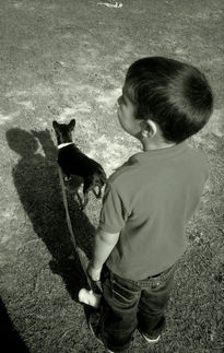 Niño con perro