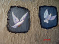 Palomas