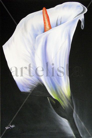 alcatrsz con fondo negro Oil Canvas Floral Painting