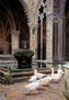Catedral de Barcelona